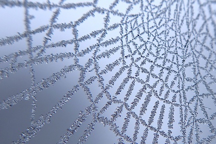 Spinnennetz nach Frost