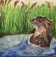 Verträumter Otter